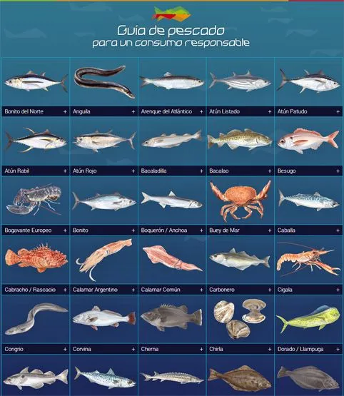 Frutos del Mar: Guíadepescado.com