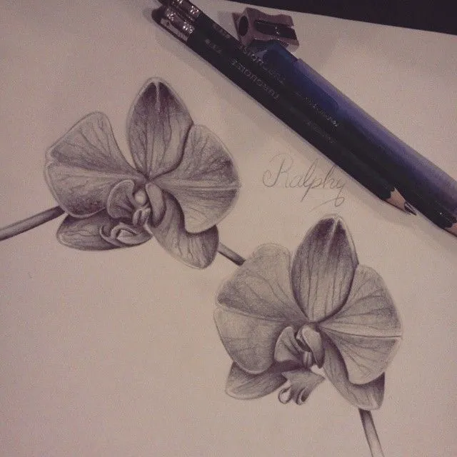 Eso fué lo que salió — Orquideas para la tarde #tattoo #tatuaje ...