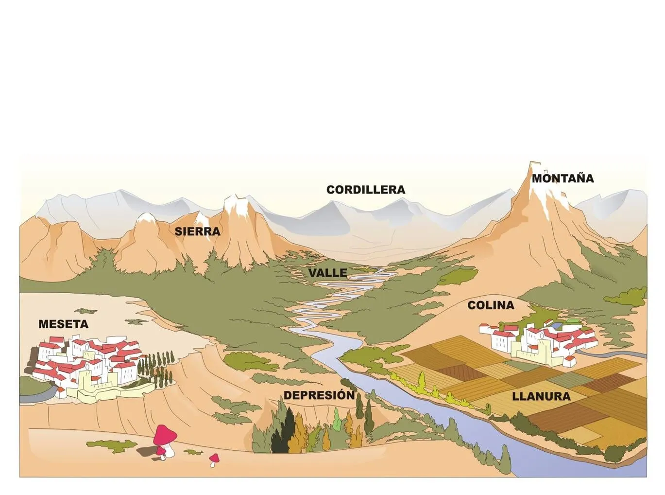 Fuente: Practicopedia Ría de Ferrol Valle del Río Ebro Cabo de Buena  Esperanz… | Accidentes geograficos, Forma de relieve, Relieve costero