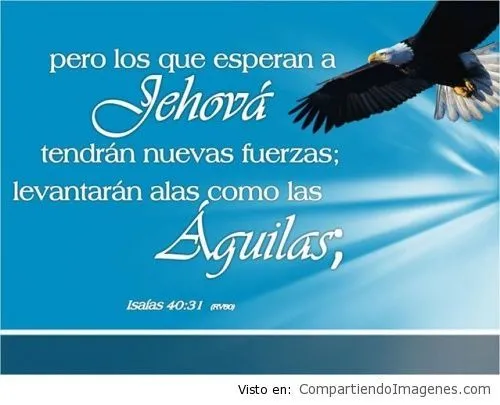 Tenemos nuevas fuerzas en Cristo - Imagenes Cristianas para ... Tenemos nuevas fuerzas en Cristo - Imagenes Cristianas para ...