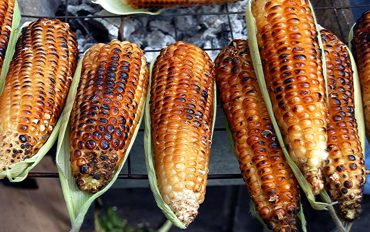 Que funcion tienen los pelos del elote?? - Taringa! Que funcion tienen los pelos del elote?? - Taringa!