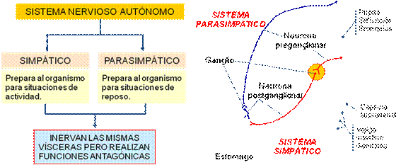 Función de relación. 1º bachiller. Cosas de Ciencias. Isabel Etayo ...