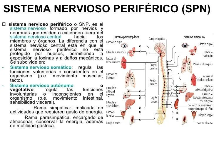 FuncióN De RelacióN