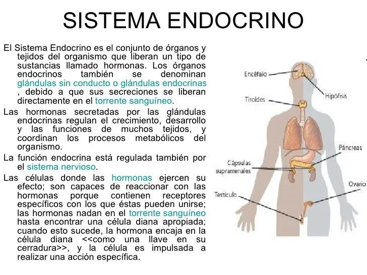 Función de relaciónpdf