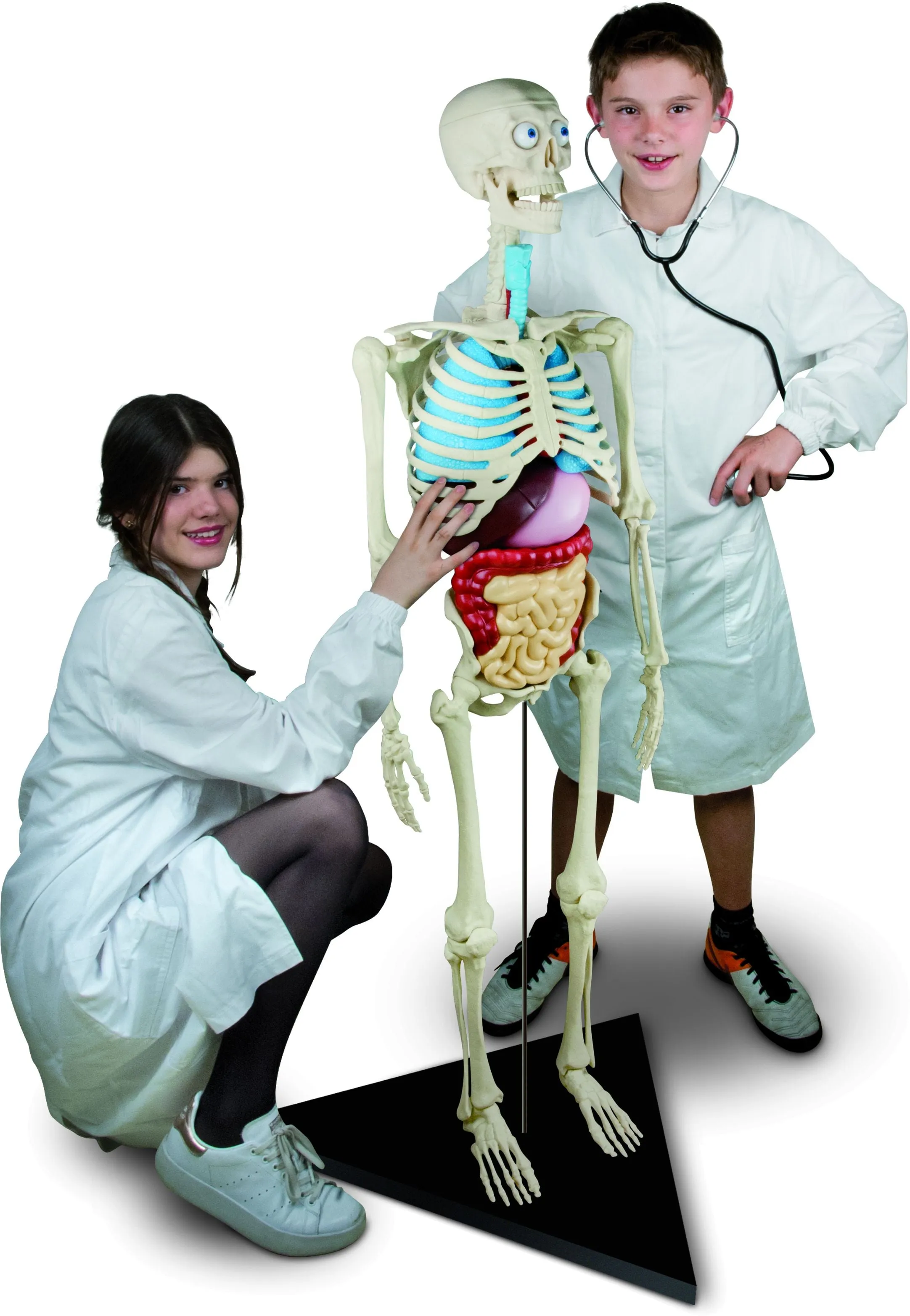 Cómo funciona el cuerpo humano? | Sociedad | La Revista | El Universo Cómo funciona el cuerpo humano? | Sociedad | La Revista | El Universo