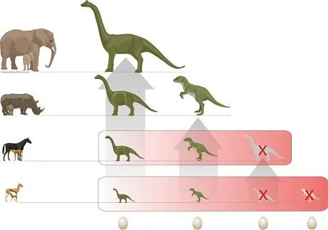 Fundacion Dinosaurios Cyl: El ser animales ovíparos también acabó ... Fundacion Dinosaurios Cyl: El ser animales ovíparos también acabó ...