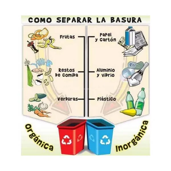 Fundacion Tortuguias on Twitter: "Como separar la basura orgánica ...