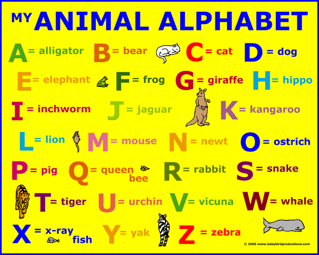 Funny animals: Animal Alphabet Funny animals: Animal Alphabet