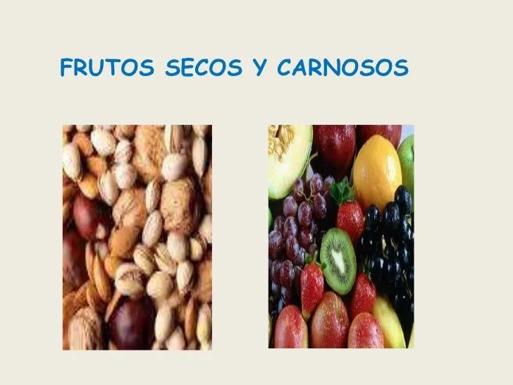 Futos secos y carnosos