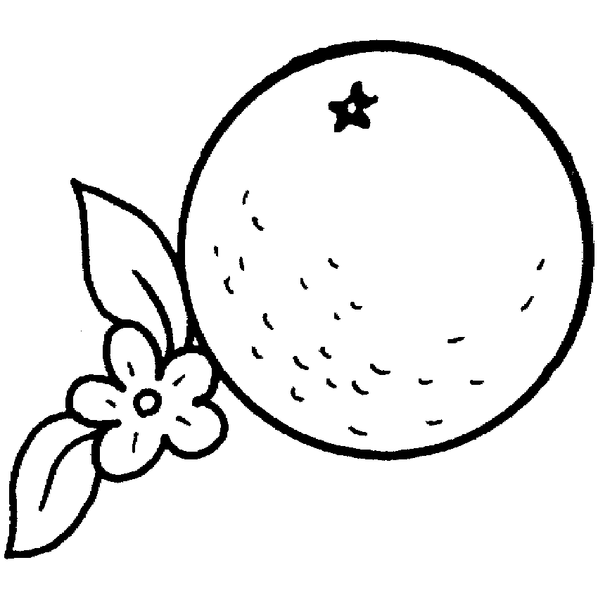Dibujos de naranjas para colorear e imprimir - Imagui Dibujos de naranjas para colorear e imprimir - Imagui