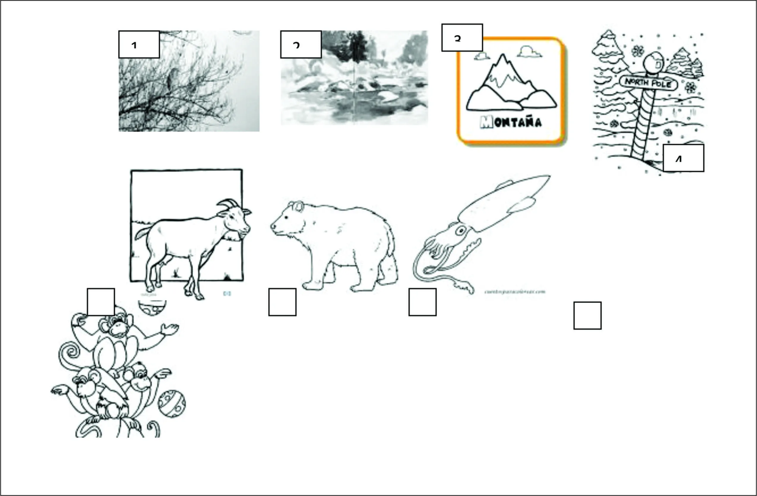 Dibujos para colorear de las caracteristicas de los seres vivos ... Dibujos para colorear de las caracteristicas de los seres vivos ...