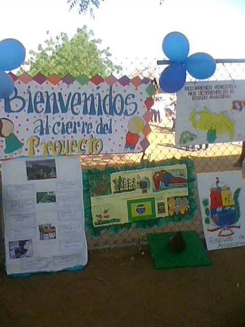 Gabriela Márquez de Leal: Plan de acción del rol promotor social. Gabriela Márquez de Leal: Plan de acción del rol promotor social.