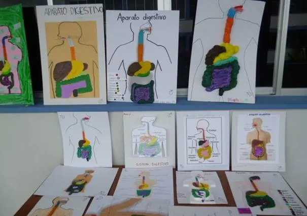 Gaceta Escolar - Instituto México