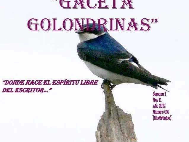 Gaceta golondrinas 010