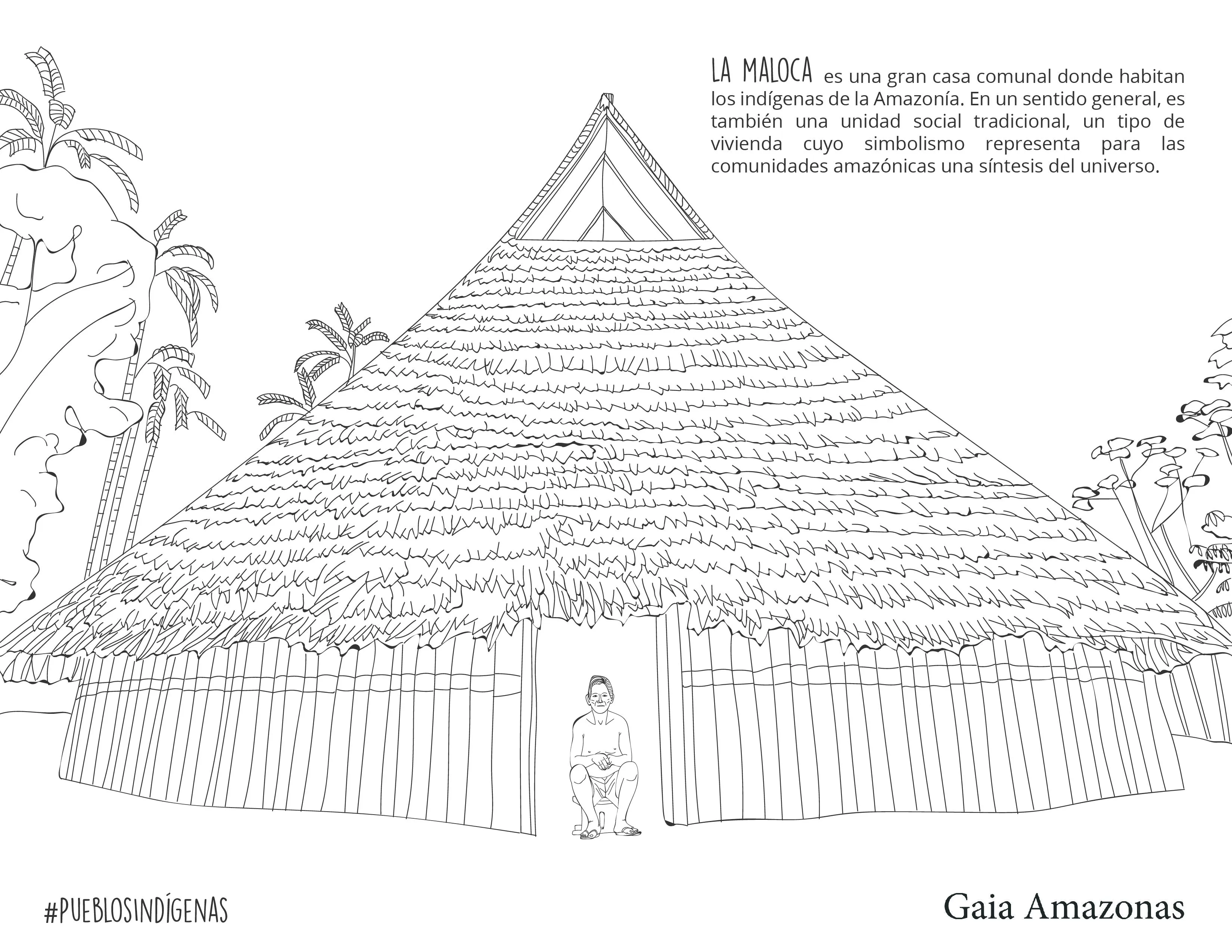 Gaia Amazonas on X: Gaia Amazonas on X: