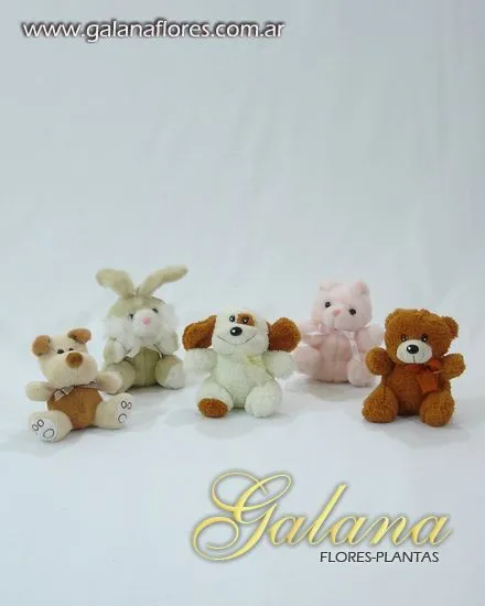 GALANA Flores-Plantas | Envio y venta de Peluches y Arreglos Florales.