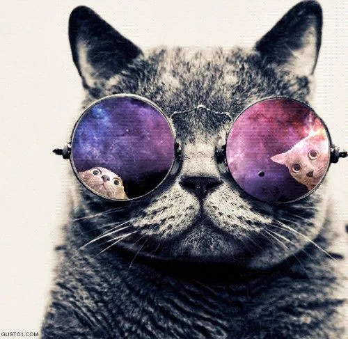 Galaxy hipster cat from tumblr | Inspiring | Pinterest | Hipster ... Galaxy hipster cat from tumblr | Inspiring | Pinterest | Hipster ...