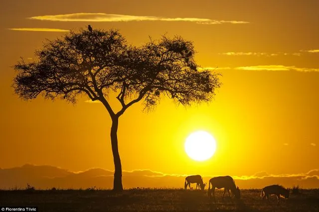 Galería: Los amaneceres y atardeceres más espectaculares para ... Galería: Los amaneceres y atardeceres más espectaculares para ...