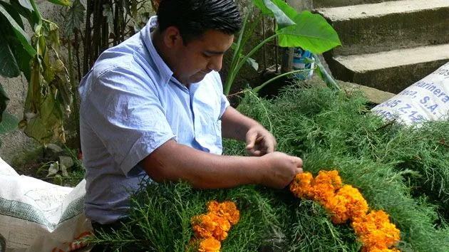 Galería de festividades | Viviendo El Tiempo Maya