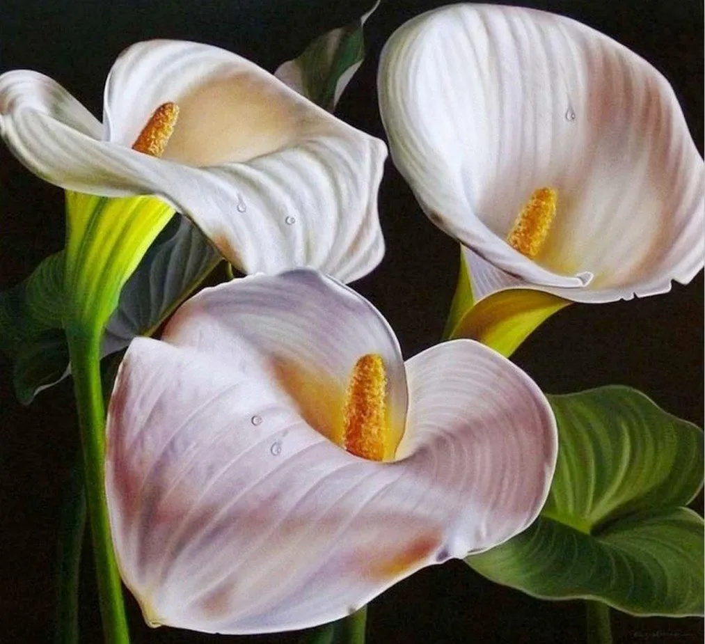 Galería de Flores, Cuadros Modernos | Imágenes Arte Temático Galería de Flores, Cuadros Modernos | Imágenes Arte Temático