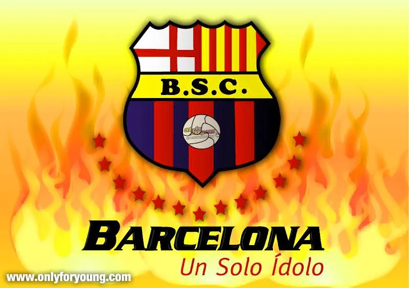 Galería de fotos en Google Plus