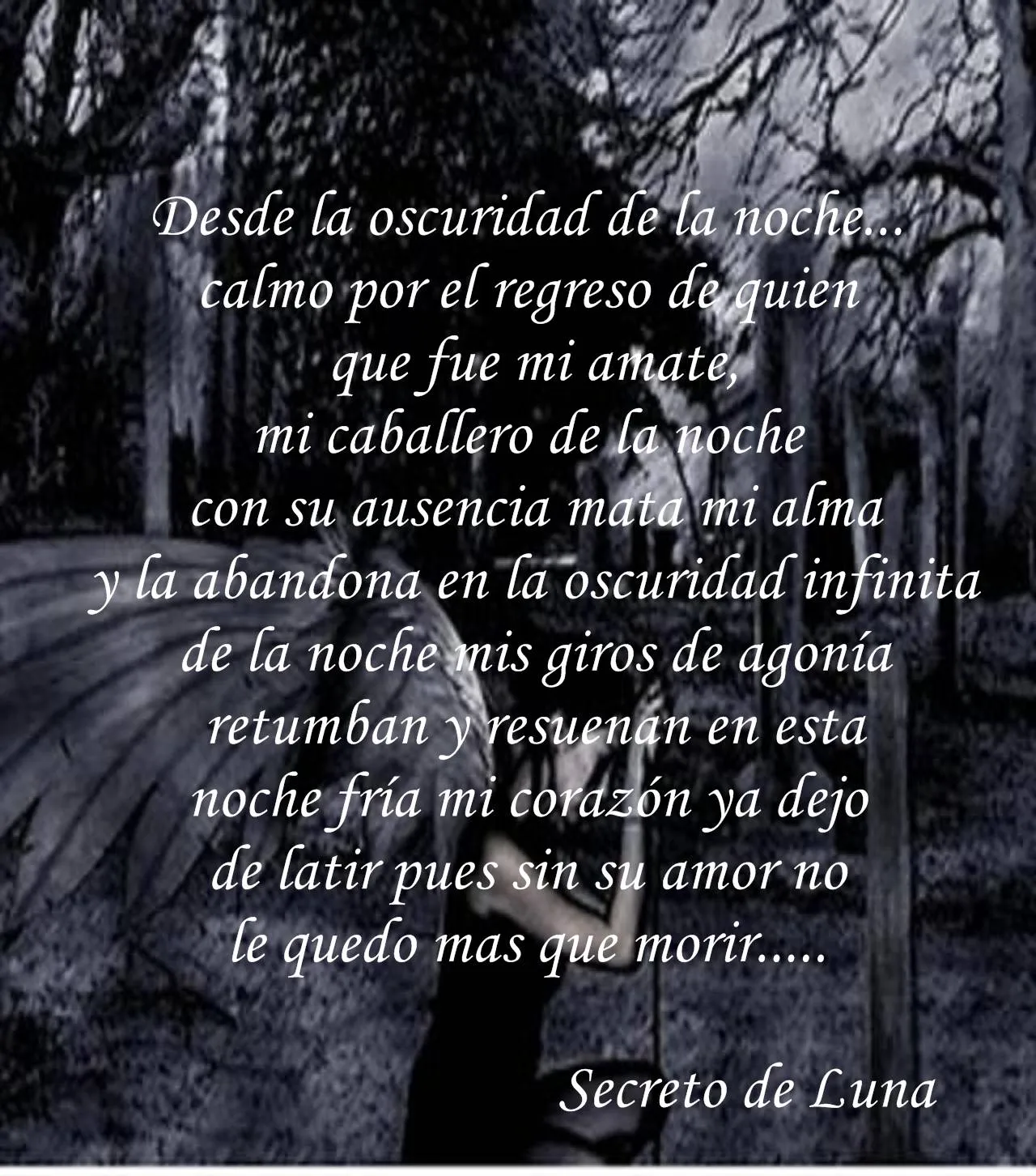 Secreto de Luna: enero 2011
