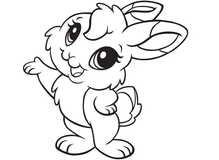Galería de imágenes: Dibujos de conejos para colorear Galería de imágenes: Dibujos de conejos para colorear