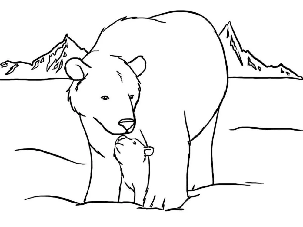 Galería de imágenes: Dibujos de osos para colorear