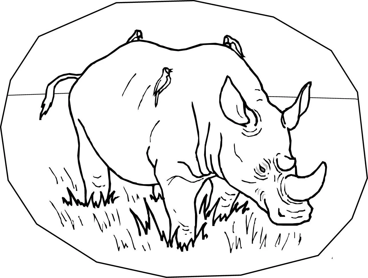 Galería de imágenes: Dibujos de rinocerontes Galería de imágenes: Dibujos de rinocerontes