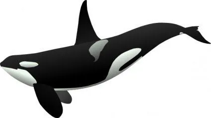 Galería de imágenes de Orca imágenes prediseñadas (clip arts ...