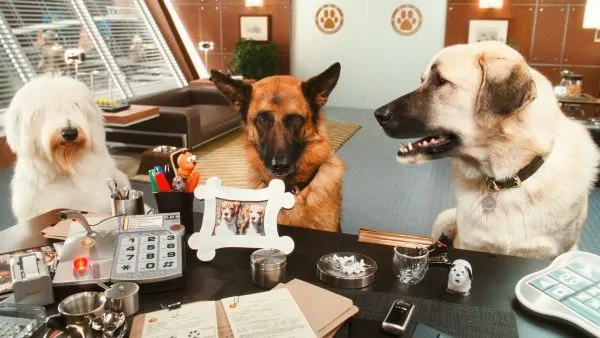 galeria de imagenes de la pelicula como perros y gatos la - www ...