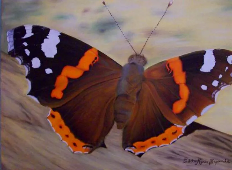 GALERIA: MARIPOSAS AL ÓLEO | Arte Pinturas al Óleo GALERIA: MARIPOSAS AL ÓLEO | Arte Pinturas al Óleo