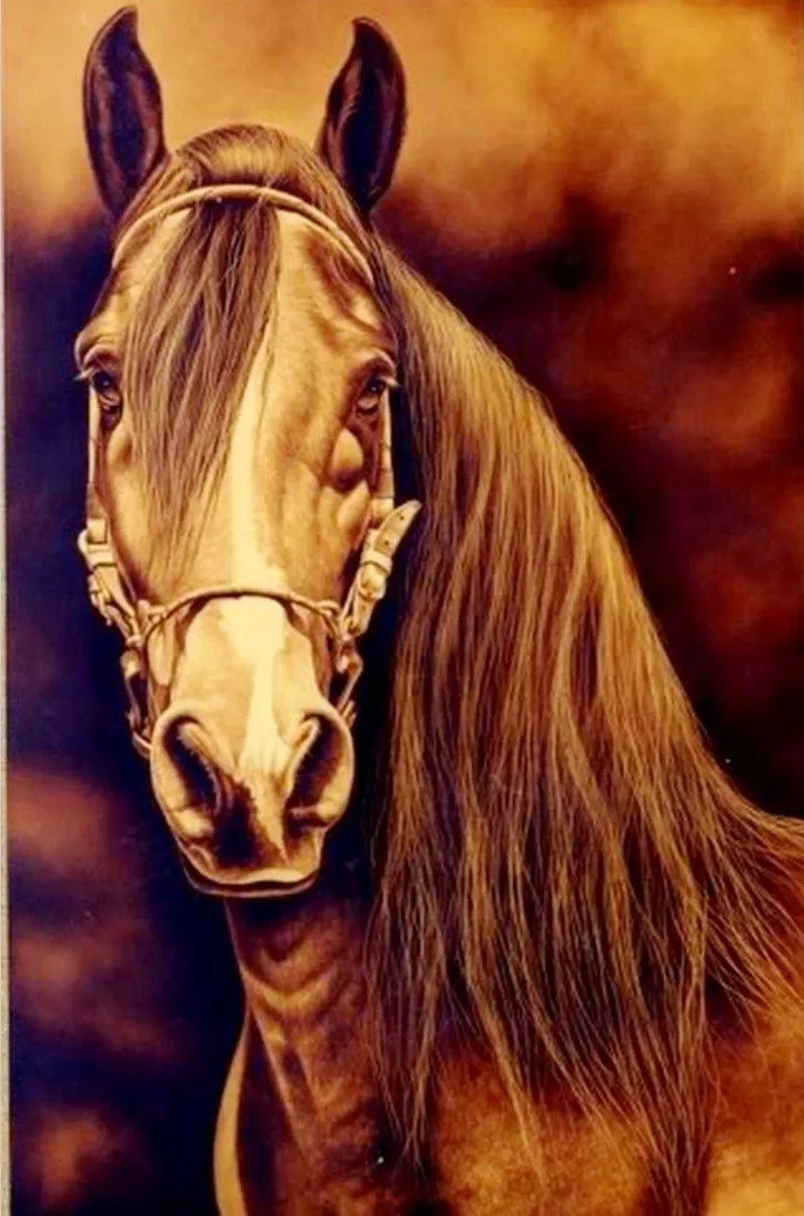 GALERÍA: PINTURAS CABALLOS | Pinturas al Óleo GALERÍA: PINTURAS CABALLOS | Pinturas al Óleo