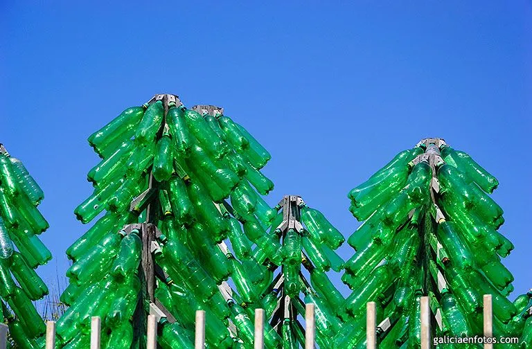 Galiciaenfotos.com » Entrada » Arboles reciclables Galiciaenfotos.com » Entrada » Arboles reciclables