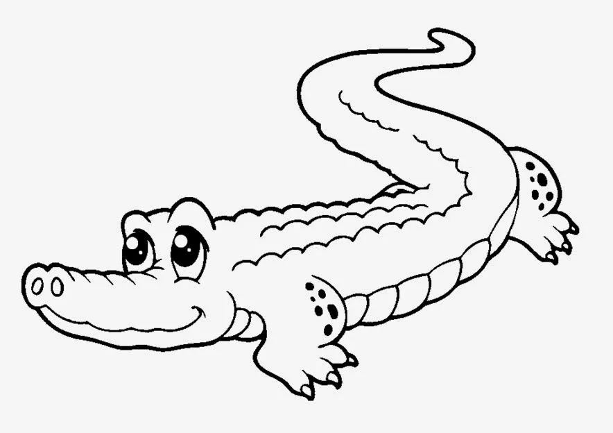 Gallery For > Cocodrilo Animado Para Colorear