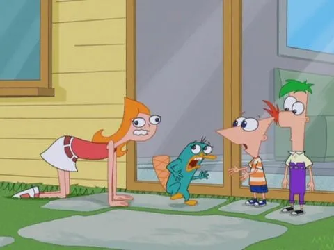 Gallery:Candace and Perry's relationship - Phineas and Ferb Wiki ...