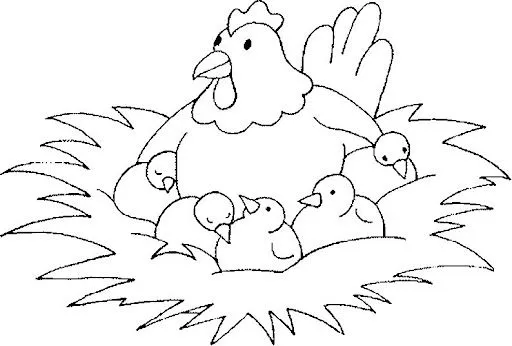 Gallina Para Colorear 68558 | ZWALLPIX