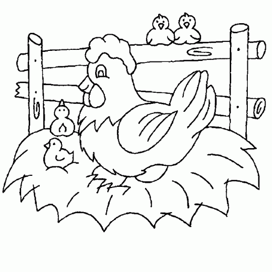 De las aves de corral para colorear - Imagui De las aves de corral para colorear - Imagui