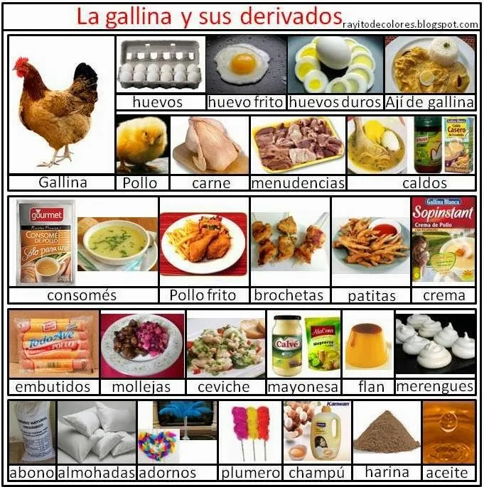 gallina_derivados.JPG (681×686) | ACTIVIDADES y FICHAS PARA ...