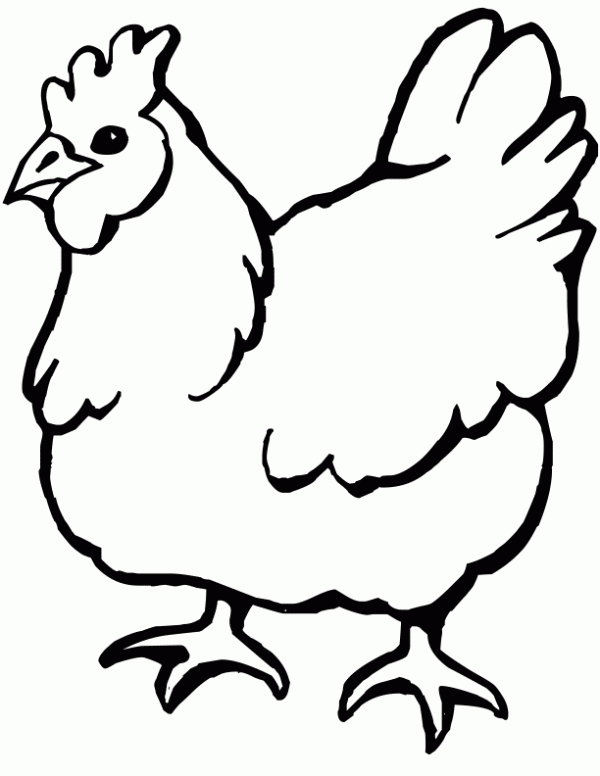 Dibujo de Gallina cleuca. Dibujo para colorear de Gallina cleuca ...