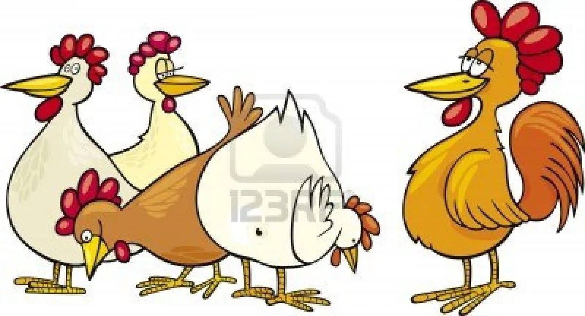 Pix For > Gallina Caricatura