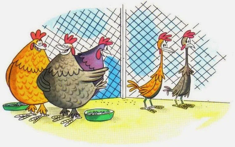 Las Gallinas Gordas y las Flacas | Fábulas para Niños Las Gallinas Gordas y las Flacas | Fábulas para Niños