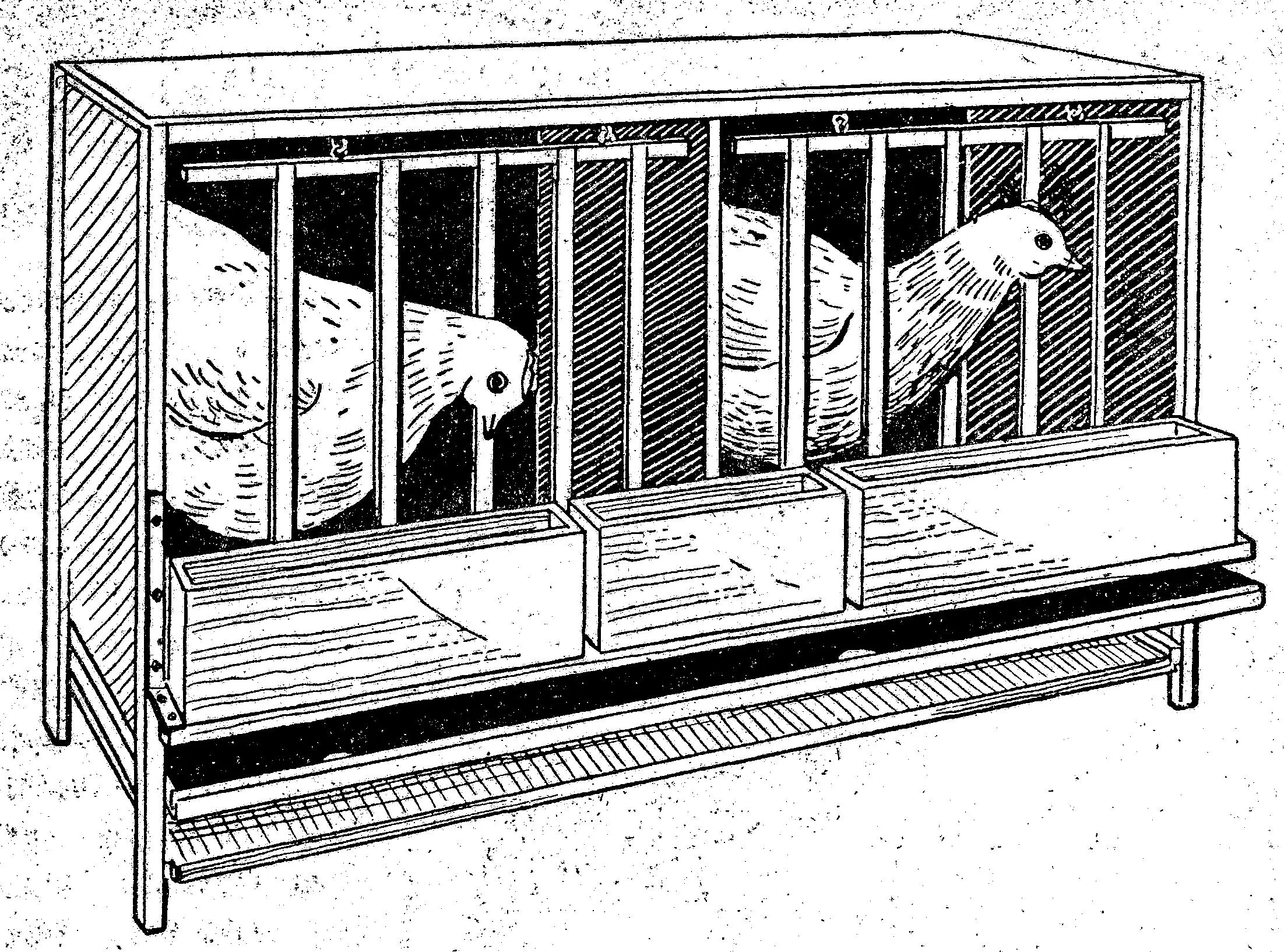 Como hacer un GALLINERO - JAULAS PARA GALLINAS | Como hacer ... Como hacer un GALLINERO - JAULAS PARA GALLINAS | Como hacer ...