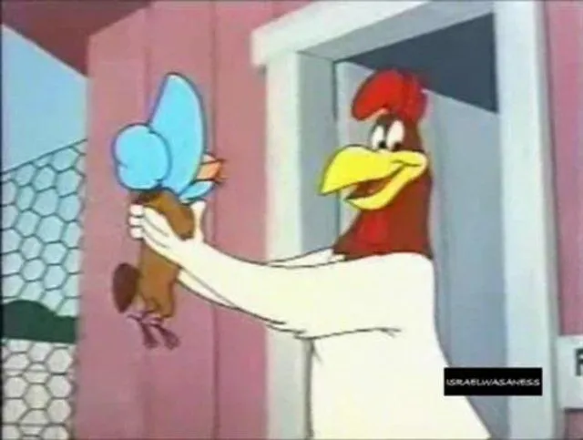 gallo claudio on Vimeo