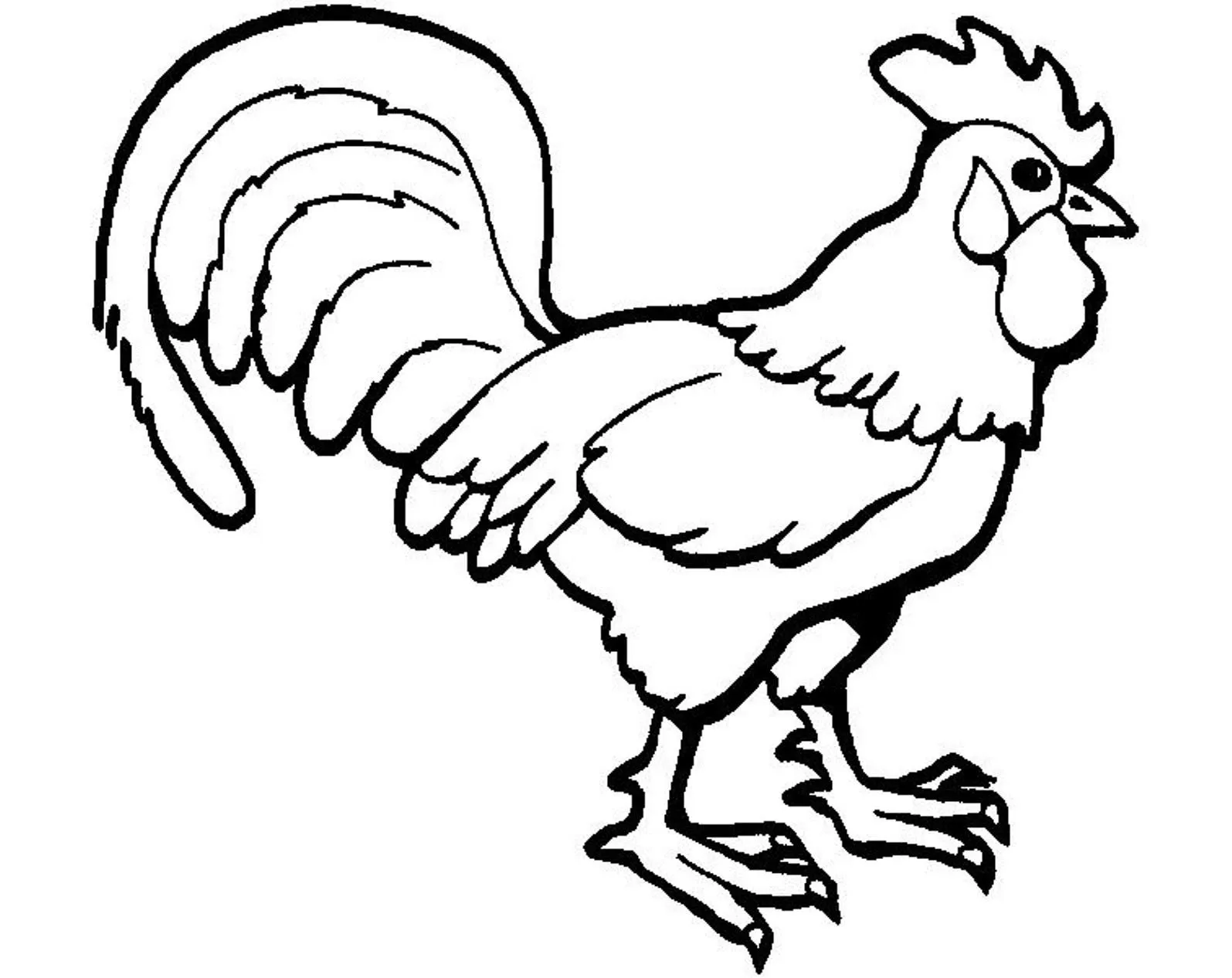 Gallo para colorear