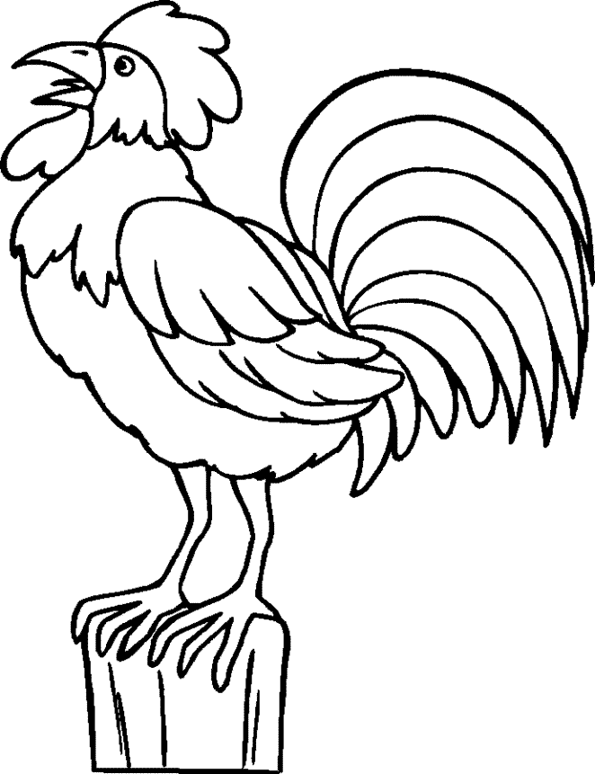 Gallo para colorear