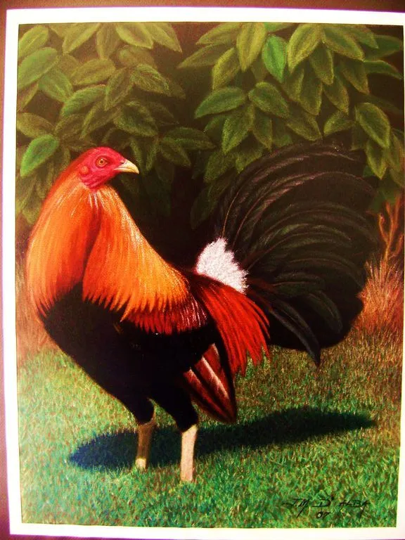 GALLO DE PELEA juan manuel de alba padilla - Artelista.com GALLO DE PELEA juan manuel de alba padilla - Artelista.com