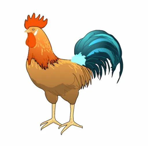 Gallo de Rodney Escultura Fotografica de Zazzle. Gallo de Rodney Escultura Fotografica de Zazzle.