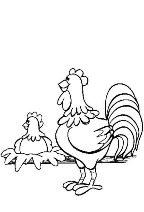 Dibujos para colorear de Gallos, Gallinas, Gallus gallus ... Dibujos para colorear de Gallos, Gallinas, Gallus gallus ...