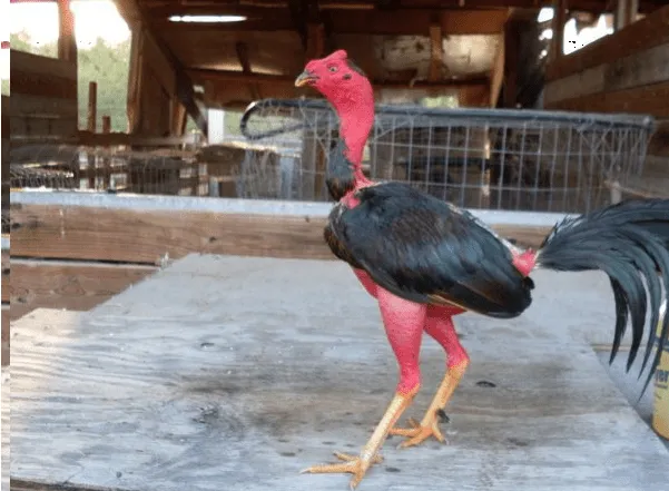 Celuu's Blog | Just another WordPress.com weblog Celuu's Blog | Just another WordPress.com weblog